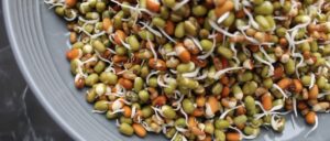 sprouts