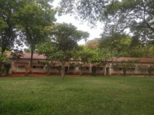 Nisargopchar, Urli Kanchan