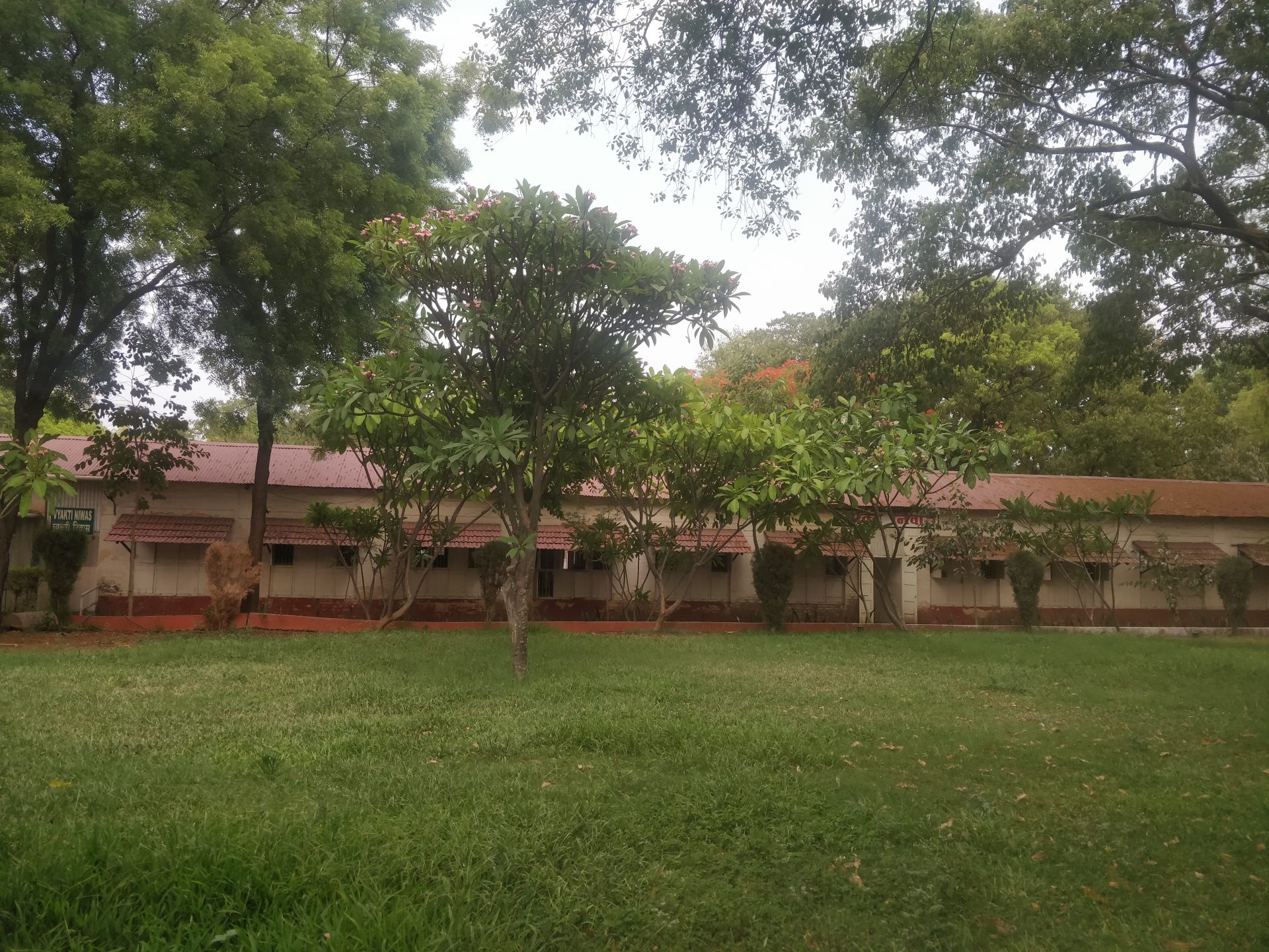 Nisargopchar, Urli Kanchan
